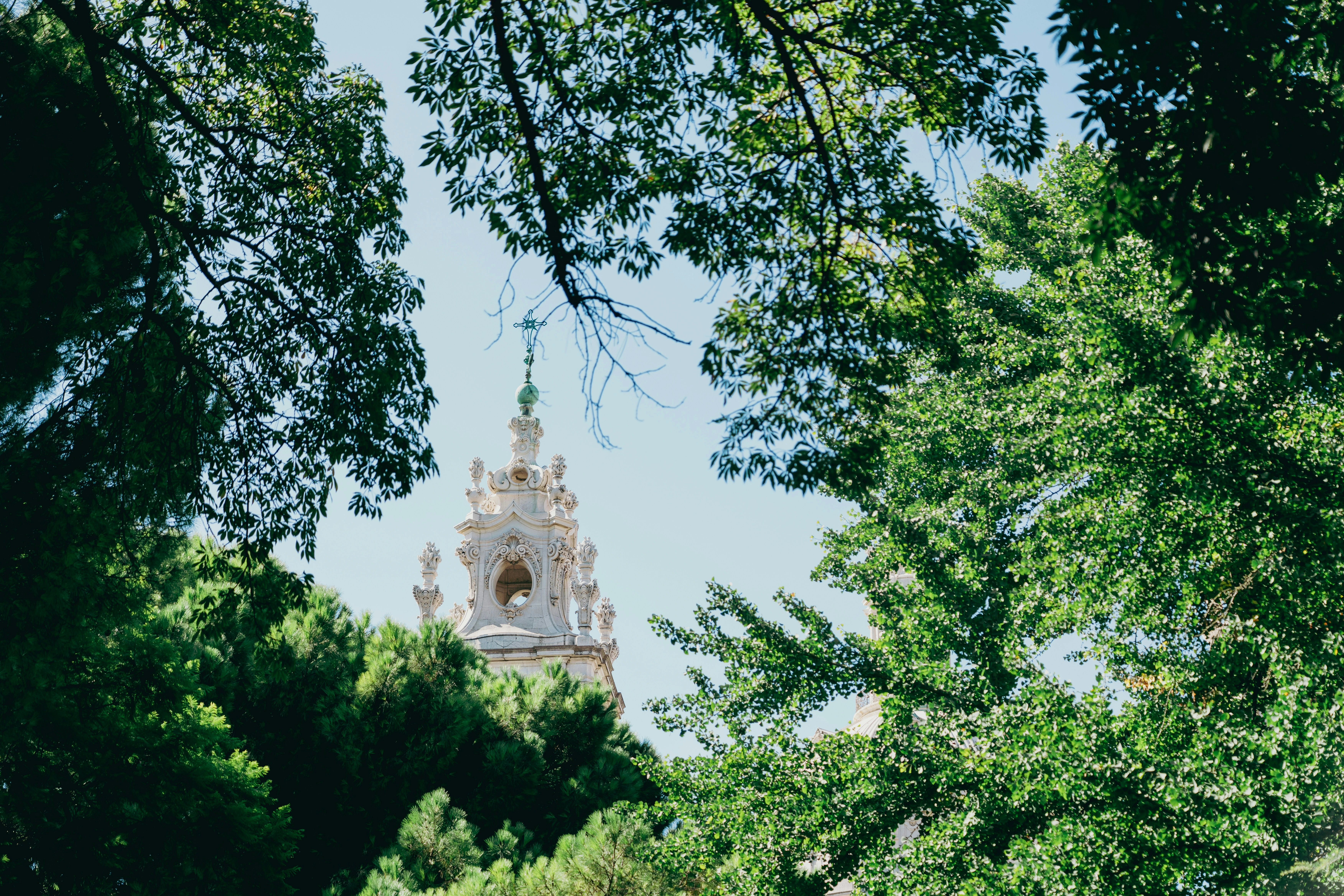 Torre da Basílica da Estrela vista de entre a folhagem do Jardim da Estrela